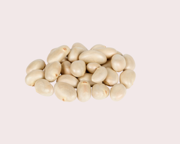 Jack Seeds